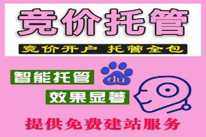 百度推广落地页优化实战案例
