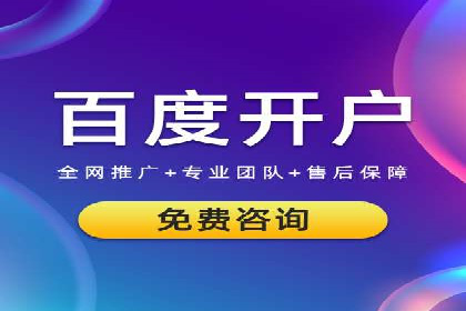 SEM主管实战：数据分析与策略调整
